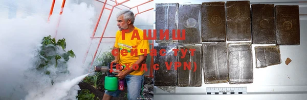 прущие грибы Абаза
