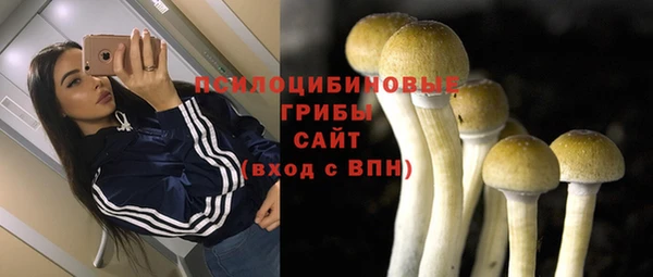 прущие грибы Абаза