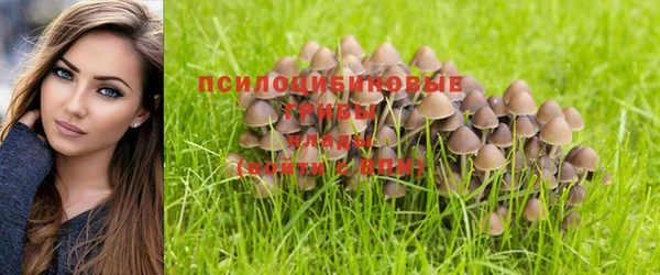 кокс Медвежьегорск