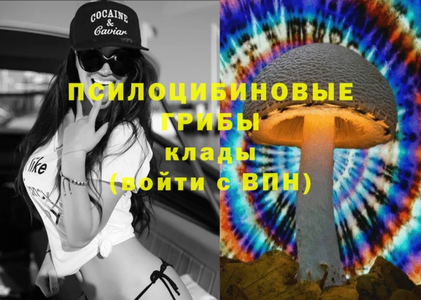 прущие грибы Абаза